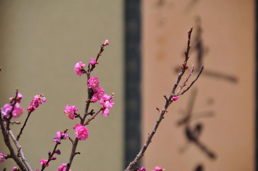 Ryokan Urashima Onomichi Chambre photo